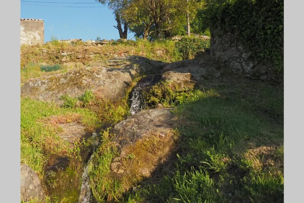 皮尔托贝加El Bosque De Los Romanos公寓 外观 照片